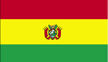 Cuestionario Bolivia